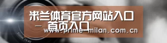 公司动态