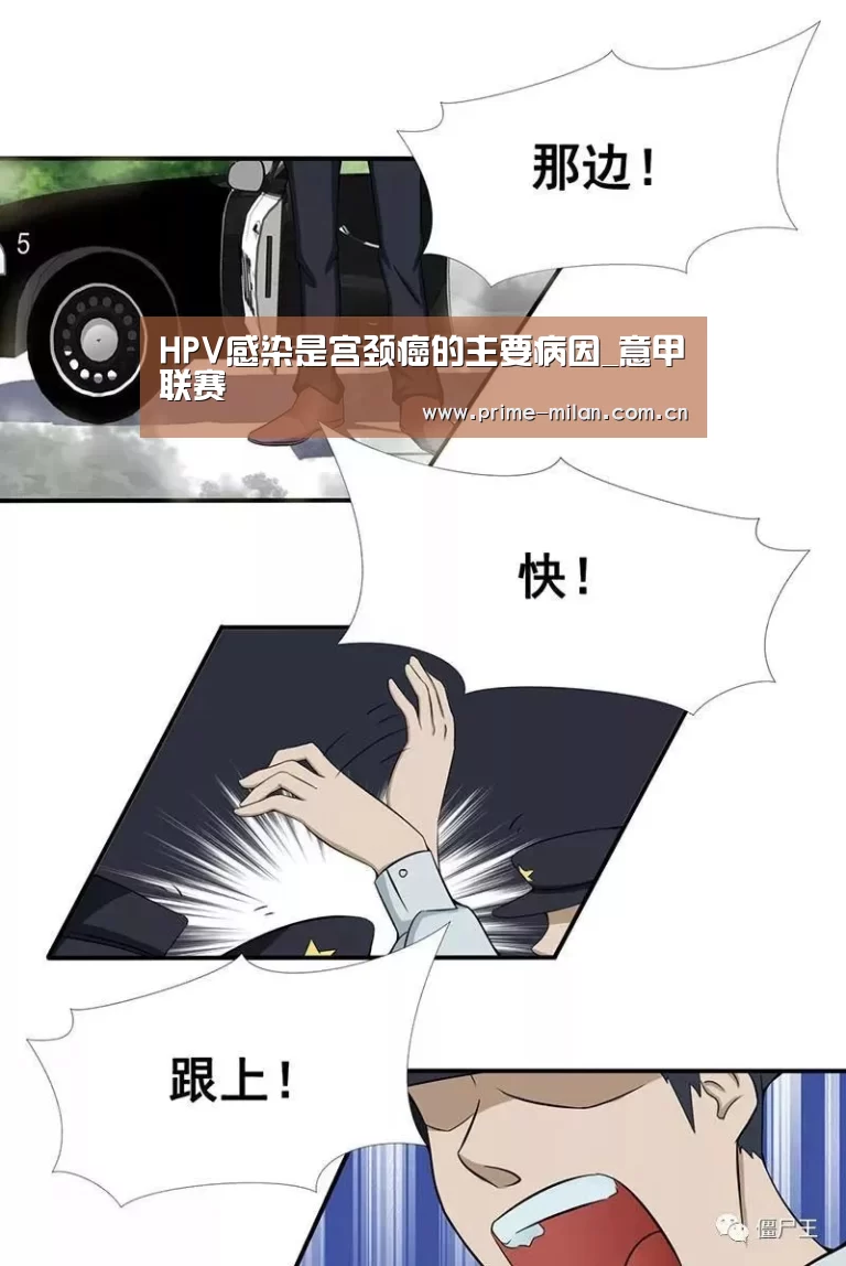 HPV感染是宫颈癌的主要病因_意甲联赛(图1) 意大利足球