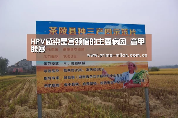 HPV感染是宫颈癌的主要病因_意甲联赛(图2) 足球新闻