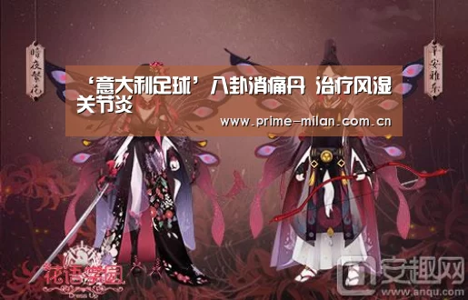 ‘意大利足球’八卦消痛丹 治疗风湿关节炎(图2) 意甲联赛