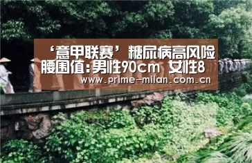 足球新闻