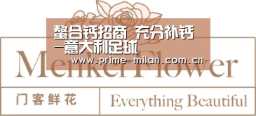 意大利足球