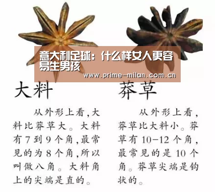 意大利足球:什么样女人更容易生男孩(图2) 米兰体育电竞