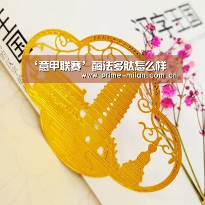足球新闻