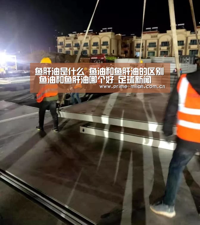 鱼肝油是什么 鱼油和鱼肝油的区别 鱼油和鱼肝油哪个好_足球新闻(图3) 米兰体育电竞