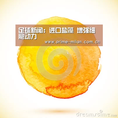 足球新闻:进口盐藻 增强细胞动力(图3) 米兰体育电竞