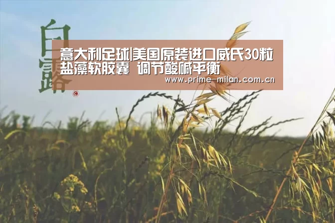 足球新闻