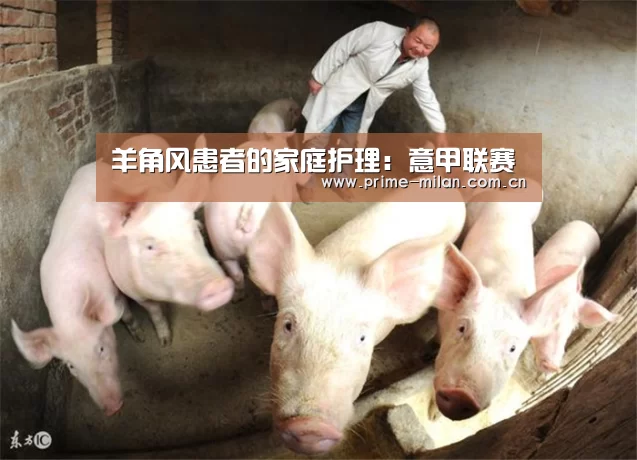 意甲联赛