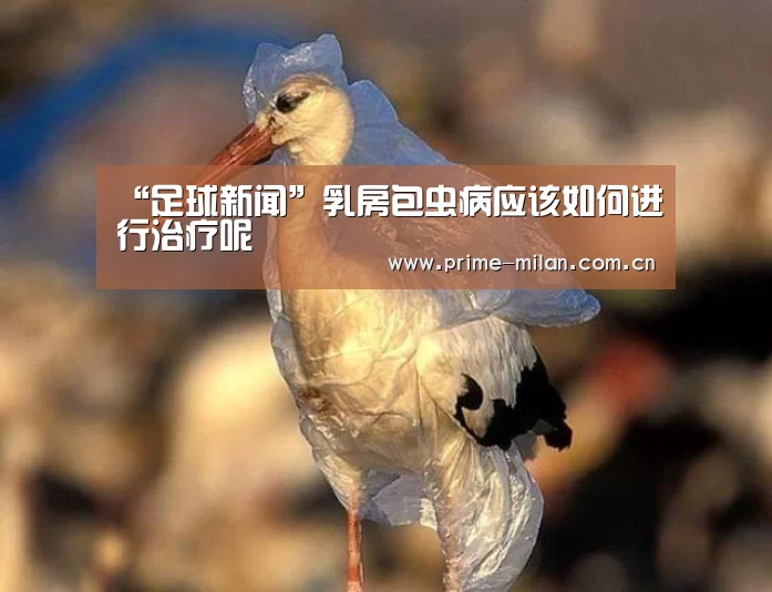 足球新闻